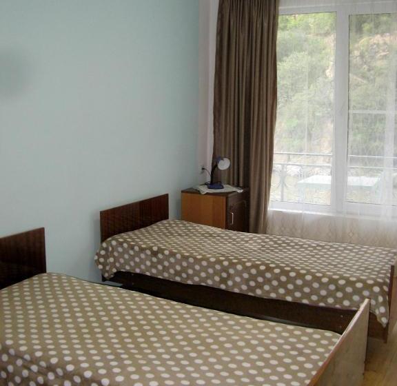 پانسیون New Sanahin