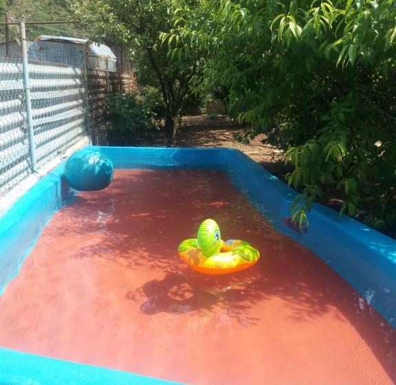 پانسیون New Sanahin