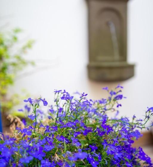 ریاض El Hotelito Del Cotillo Adults Only