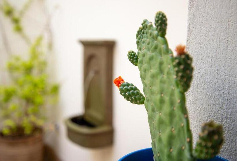 ریاض El Hotelito Del Cotillo Adults Only