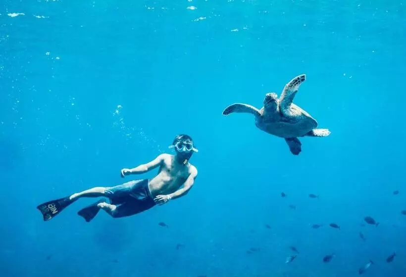 Retkeilymaja Mad Monkey Gili Trawangan