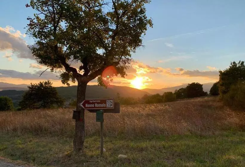 Hotelli Al Podere Del Nonno Romolo