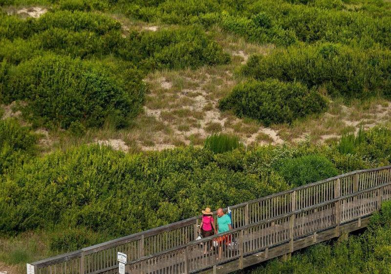 فندق Ocean Holiday