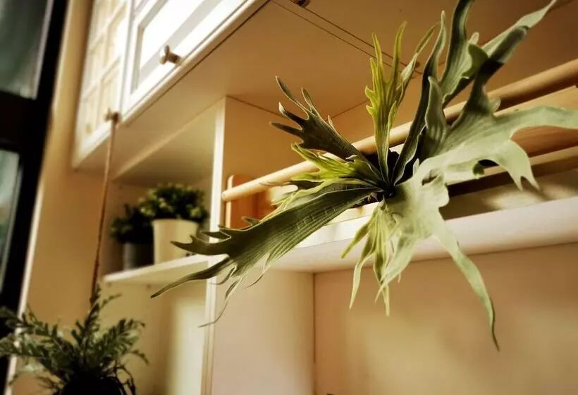 هاستل Bluewater Hotel Xpark Gloria Outlets Taoyuan Baseball Stadium