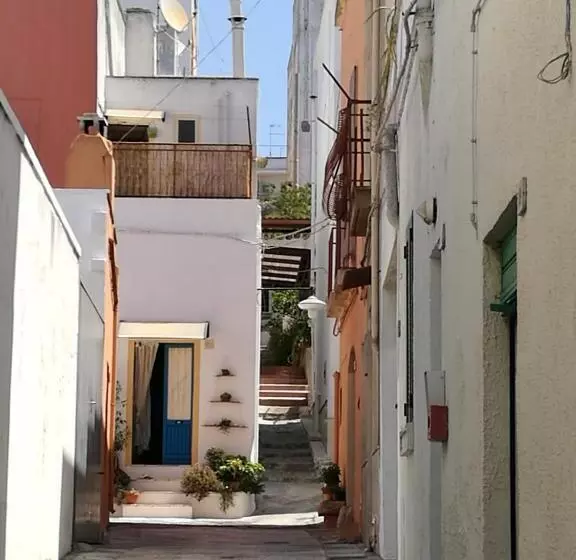 Aamiaismajoitus (B&B) Domus Petrosa