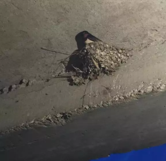 پانسیون Balkan House