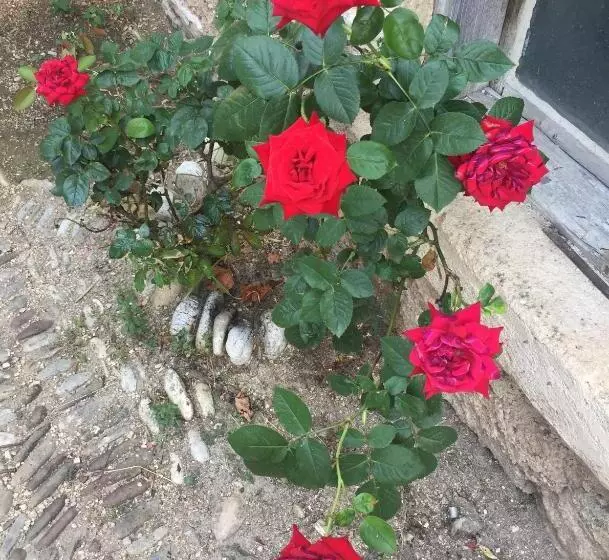 پانسیون Balkan House