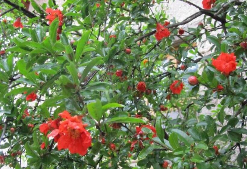 پانسیون Balkan House