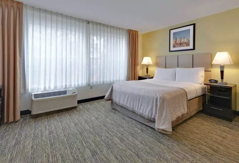 ホテル Candlewood Suites Dallas Market Center Love Field, An Ihg
