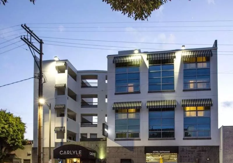ホテル Carlyle Inn
