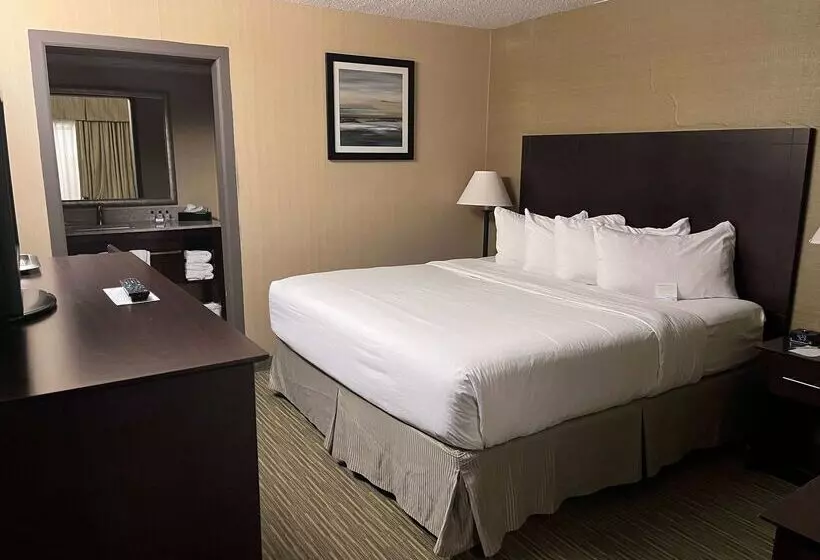 בית מלון כפרי Wyndham Garden Ann Arbor