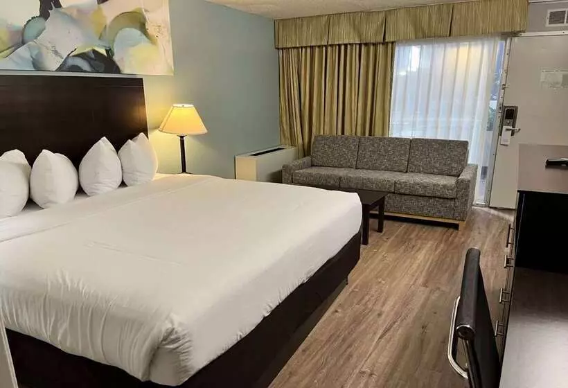 בית מלון כפרי Wyndham Garden Ann Arbor