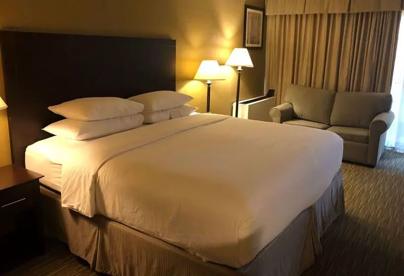 בית מלון כפרי Wyndham Garden Ann Arbor