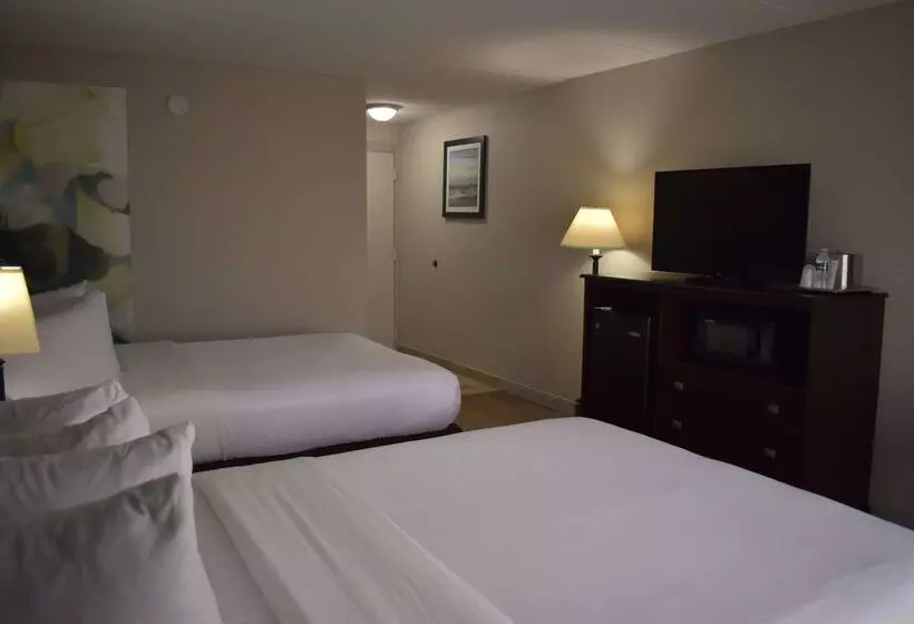 בית מלון כפרי Wyndham Garden Ann Arbor