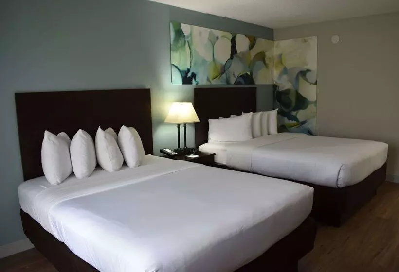 בית מלון כפרי Wyndham Garden Ann Arbor