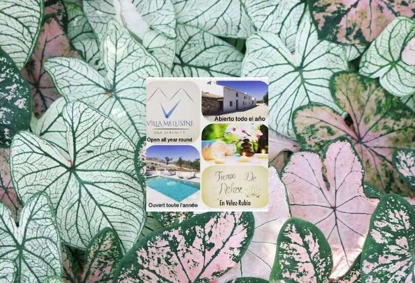 住宿加早餐 Villa Mélusine