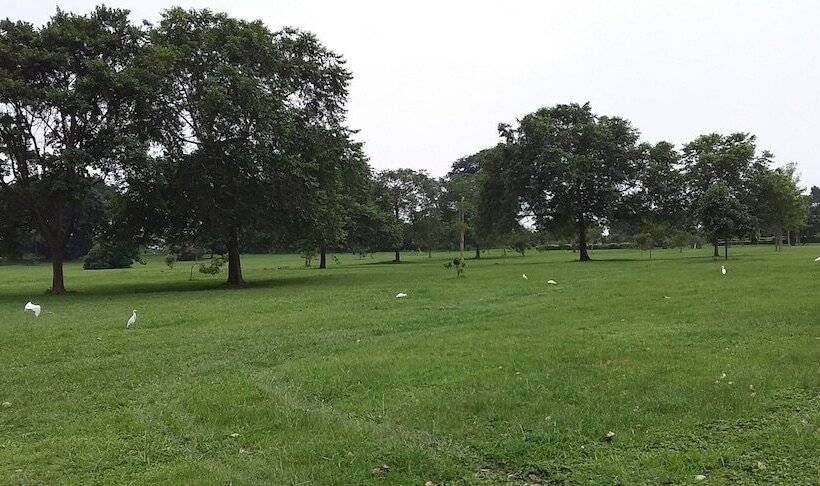 渡假胜地  The Estate Ebwerenga