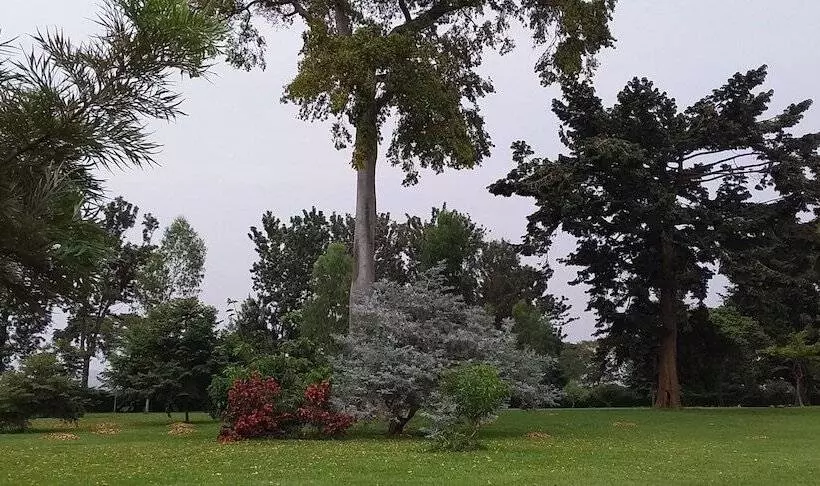 استراحتگاه The Estate Ebwerenga