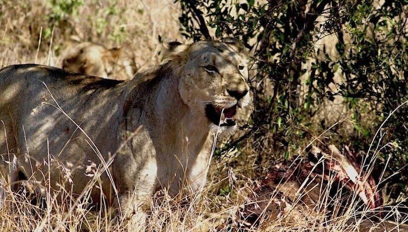 פנסיון Blyde Canyon House