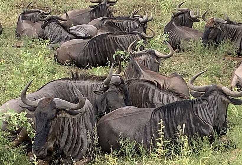 פנסיון Blyde Canyon House