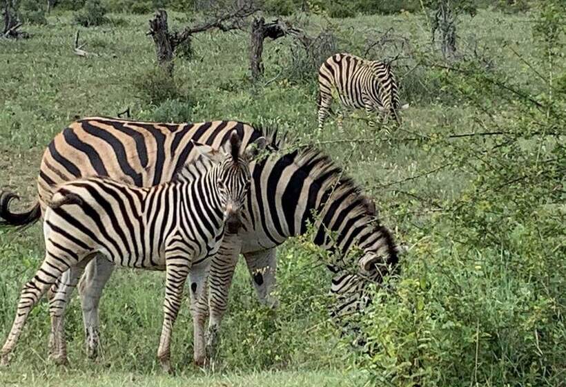 פנסיון Blyde Canyon House