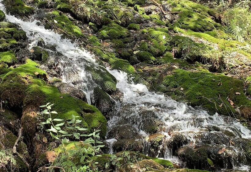 פנסיון Blyde Canyon House