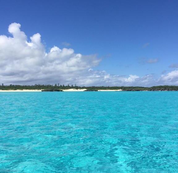 Отель Yoron Tandy House