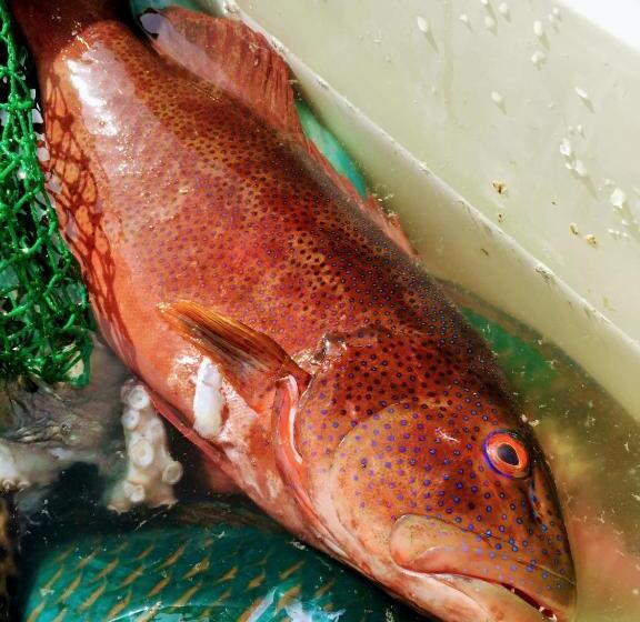 Отель Yoron Tandy House