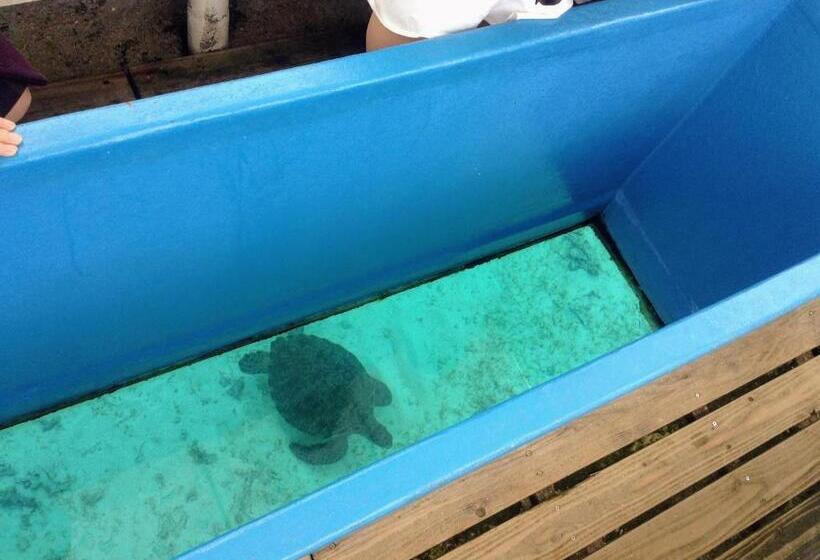 Отель Yoron Tandy House