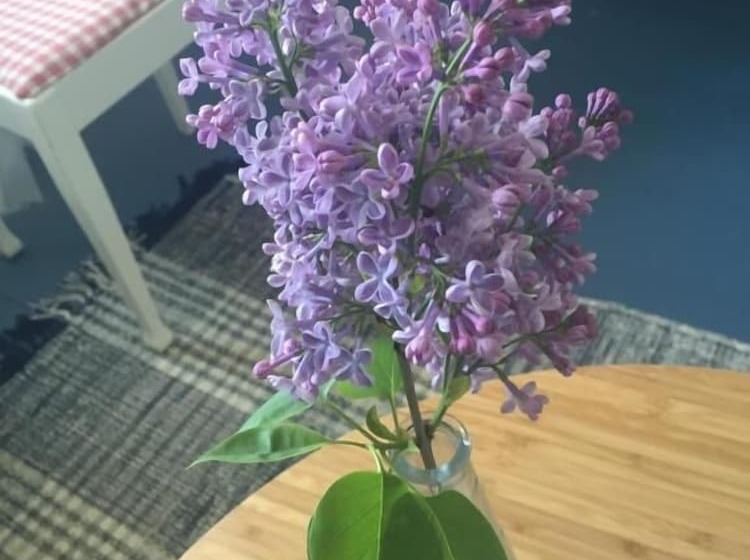 בית מלון כפרי Hem Till Bengt