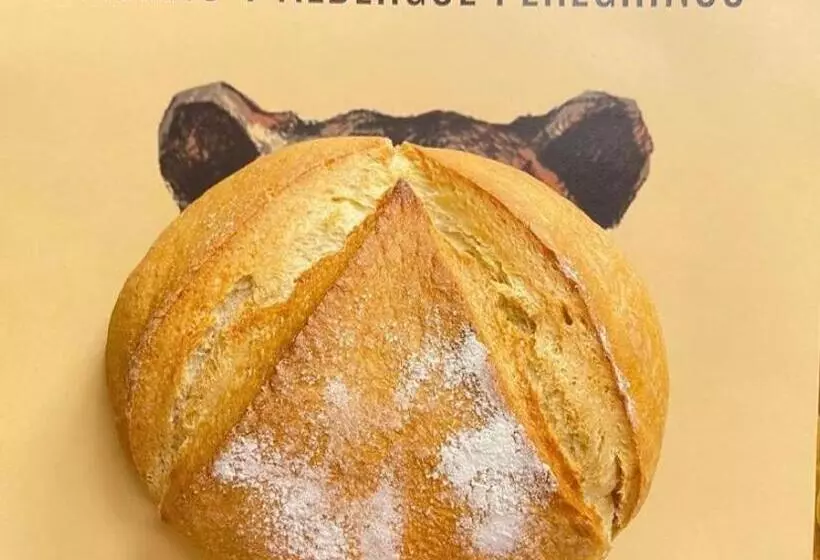 Retkeilymaja Señor Oso