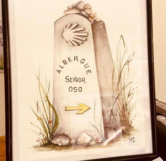 هاستل Señor Oso