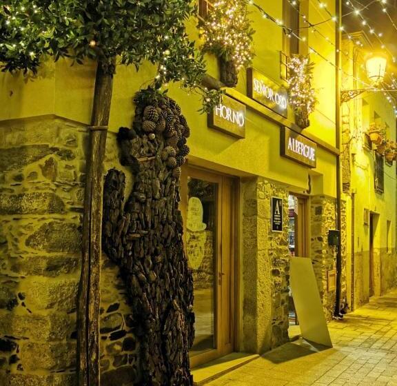 هاستل Señor Oso