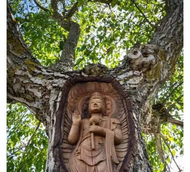 Retkeilymaja Señor Oso