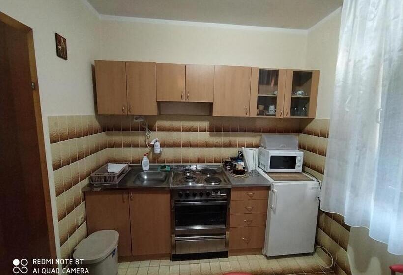 پانسیون Prenoćište Aleksandar