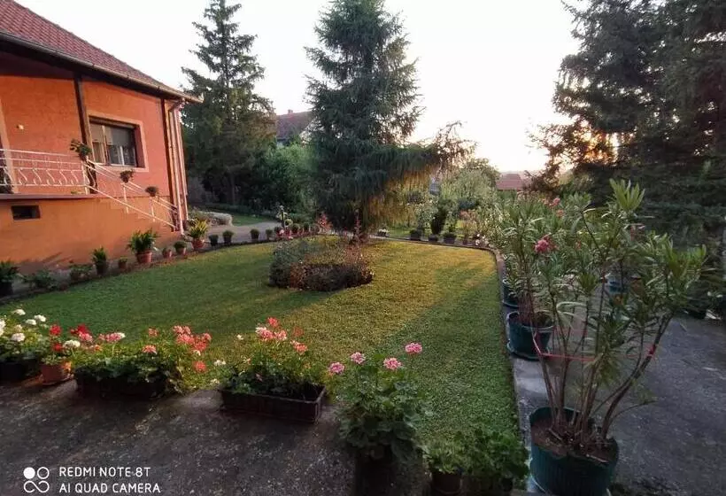 پانسیون Prenoćište Aleksandar