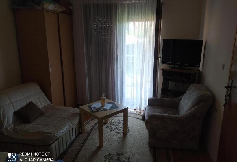 پانسیون Prenoćište Aleksandar