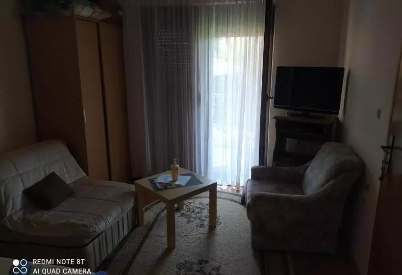 پانسیون Prenoćište Aleksandar