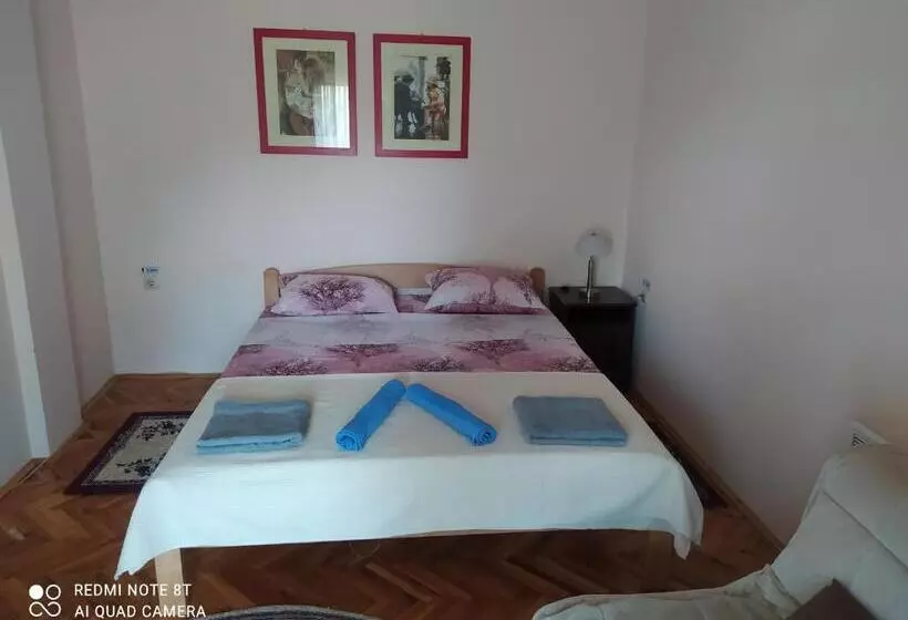 پانسیون Prenoćište Aleksandar