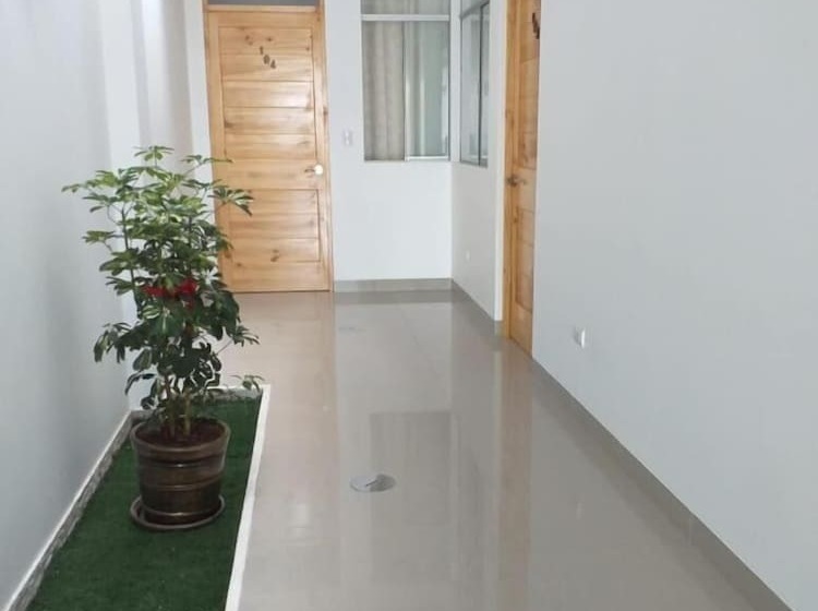 ユースホステル White Sand   Paracas