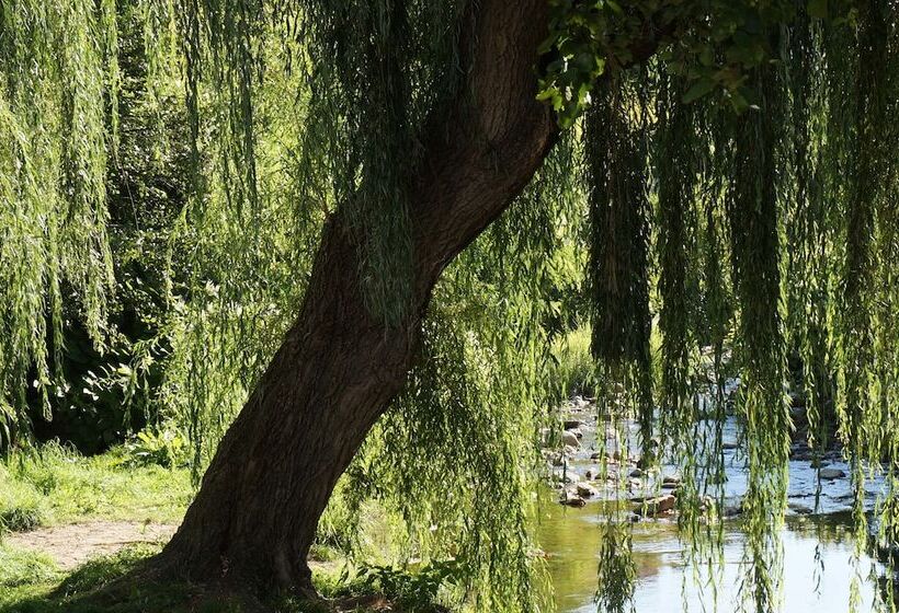 צימר Une Odeur De Tilleul