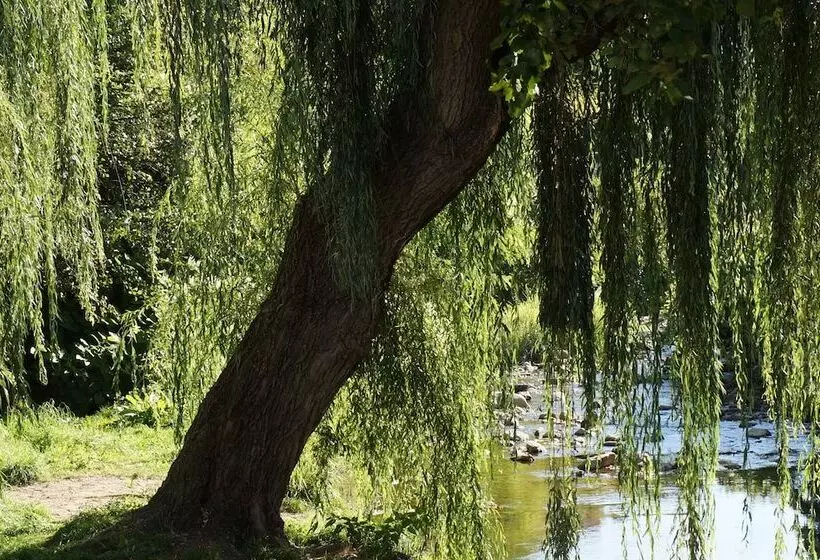 ベッドアンドブレックファースト Une Odeur De Tilleul