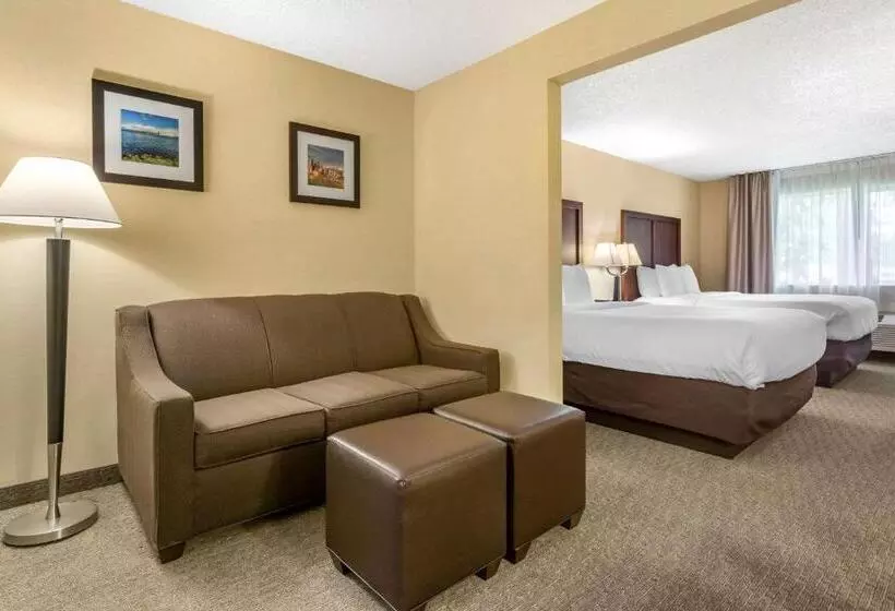 Отель Comfort Inn & Suites Bothell   Seattle North