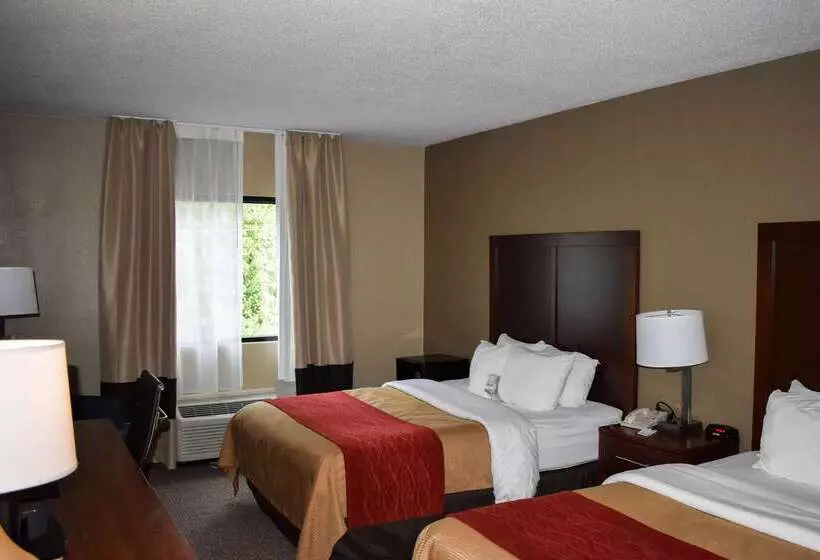 酒店 Comfort Inn Bordentown Near Nj Turnpike