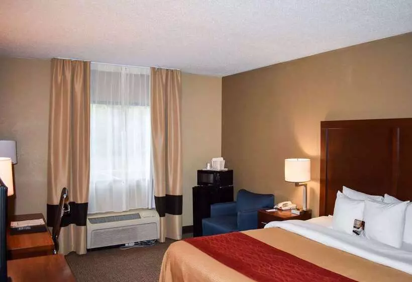 酒店 Comfort Inn Bordentown Near Nj Turnpike