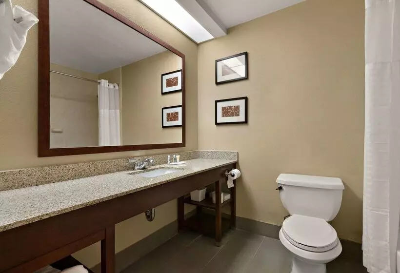 酒店 Comfort Inn Bordentown Near Nj Turnpike