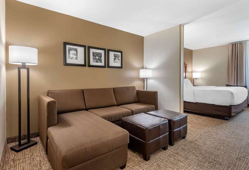 فندق Comfort Inn