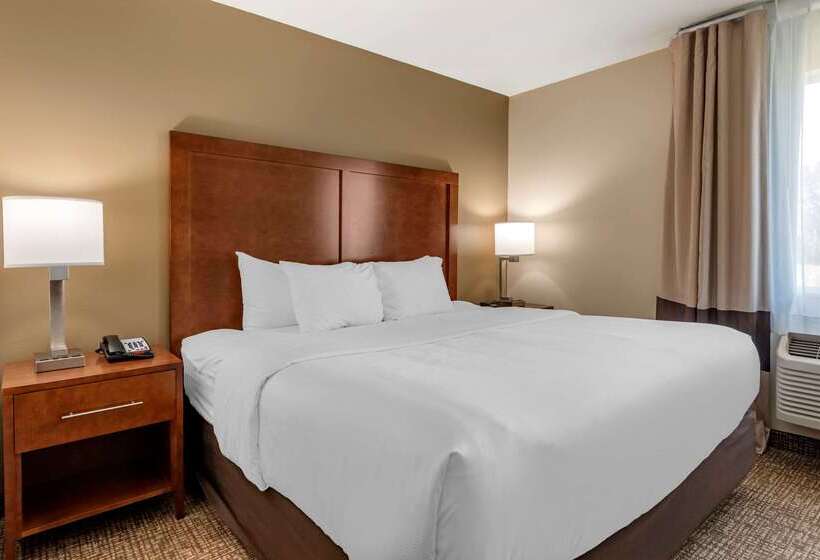 فندق Comfort Inn