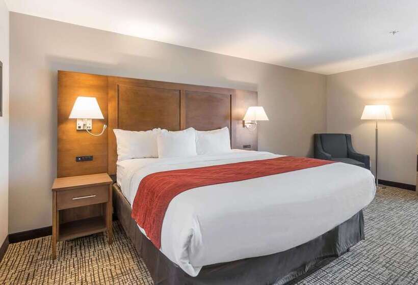 酒店 Comfort Inn Grove City Columbus South