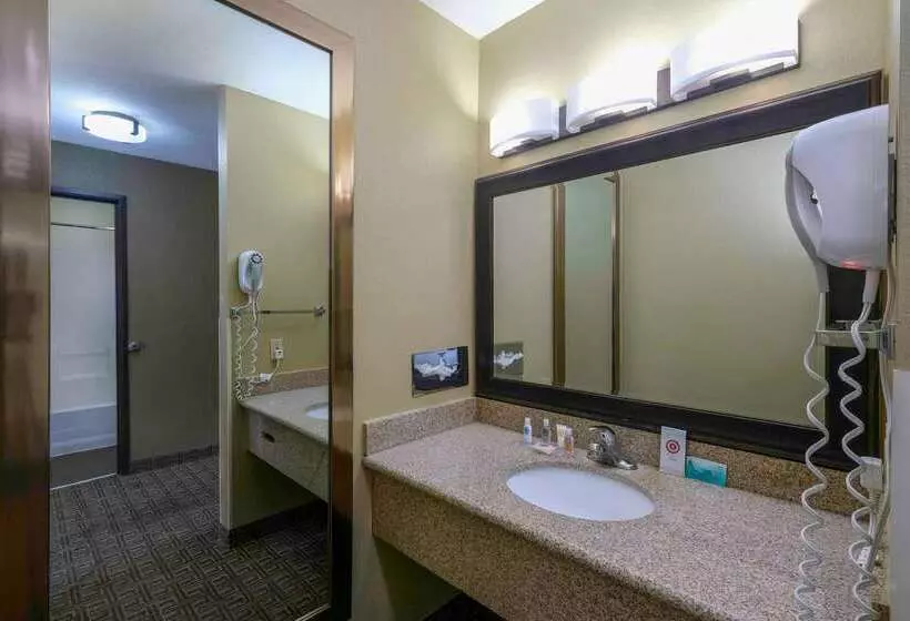 酒店 Comfort Inn Near Gila National Forest